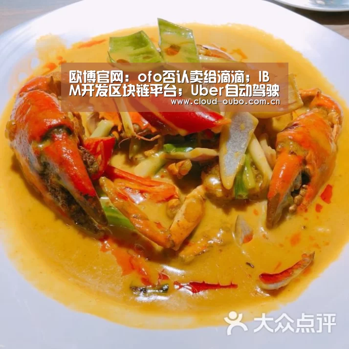 欧博官网：ofo否认卖给滴滴；IBM开发区块链平台；Uber自动驾驶卡车项目流产