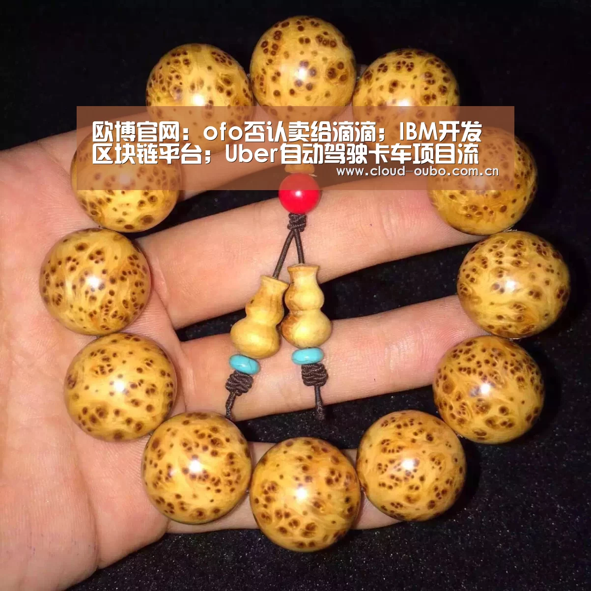欧博官网:ofo否认卖给滴滴;IBM开发区块链平台;Uber自动驾驶卡车项目流产丨雷锋早报(图2) 欧博游戏
